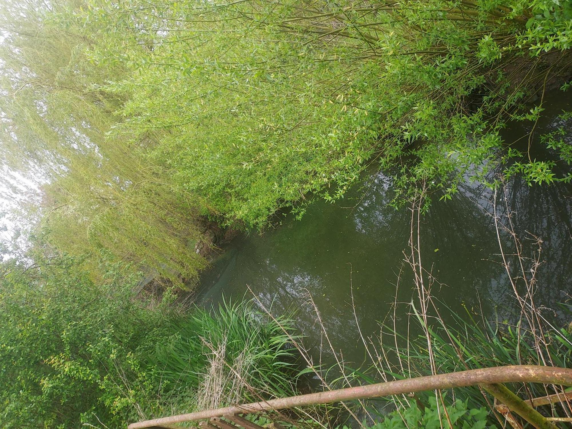 Au Chant Des Grenouilles Patay Exterior foto